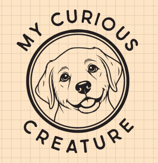 My Curious Creature